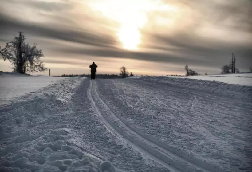 Hotelli Krušnohorský Dvůr