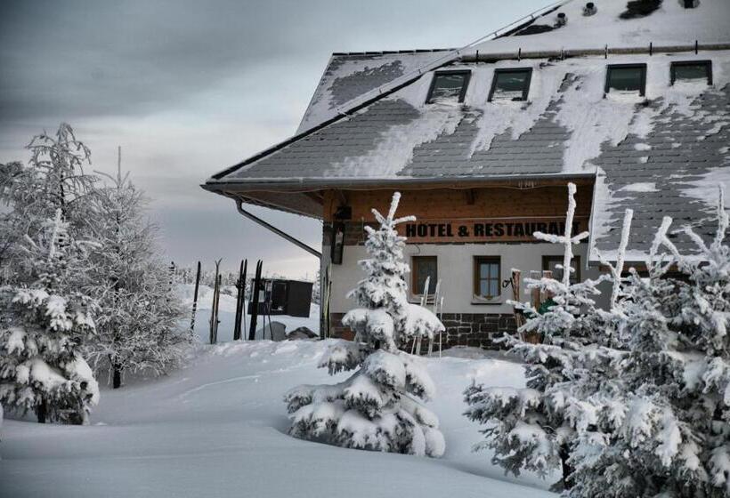 호텔 Krušnohorský Dvůr