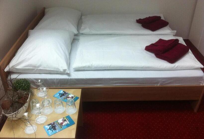 호텔 Krušnohorský Dvůr