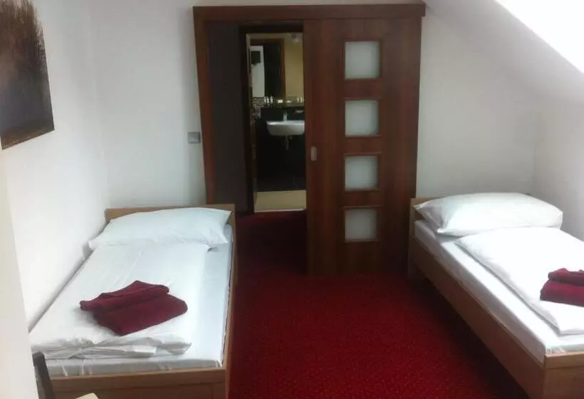 Hotelli Krušnohorský Dvůr