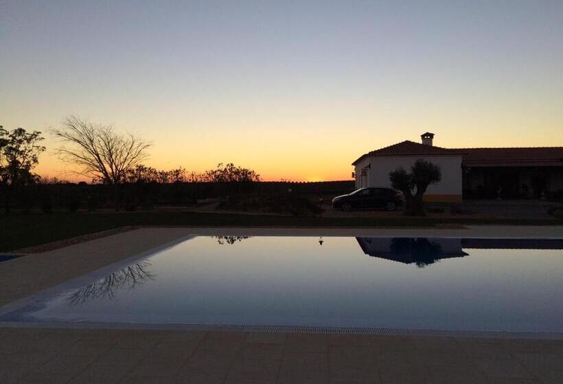 Отель Monte Das Palmeiras