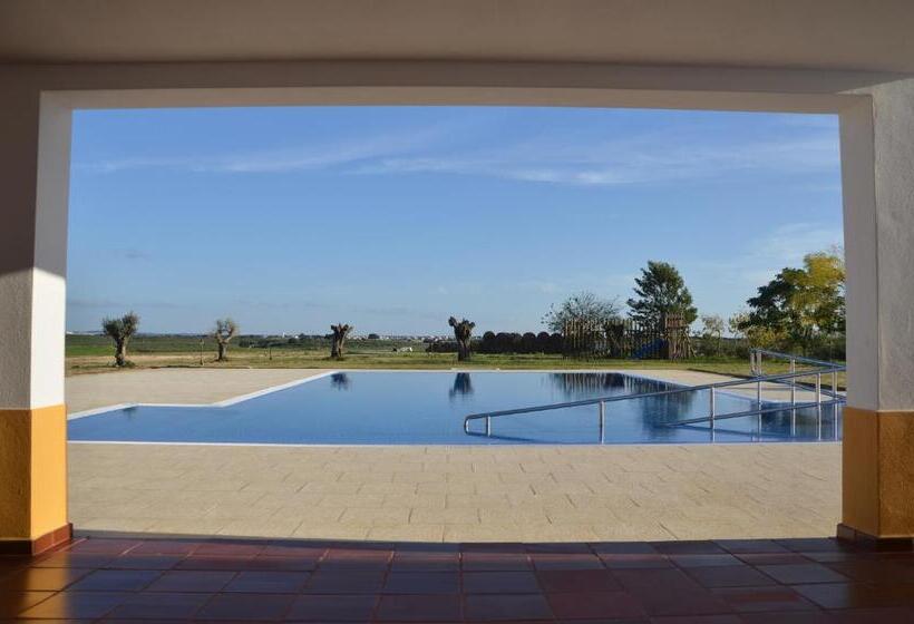 Отель Monte Das Palmeiras