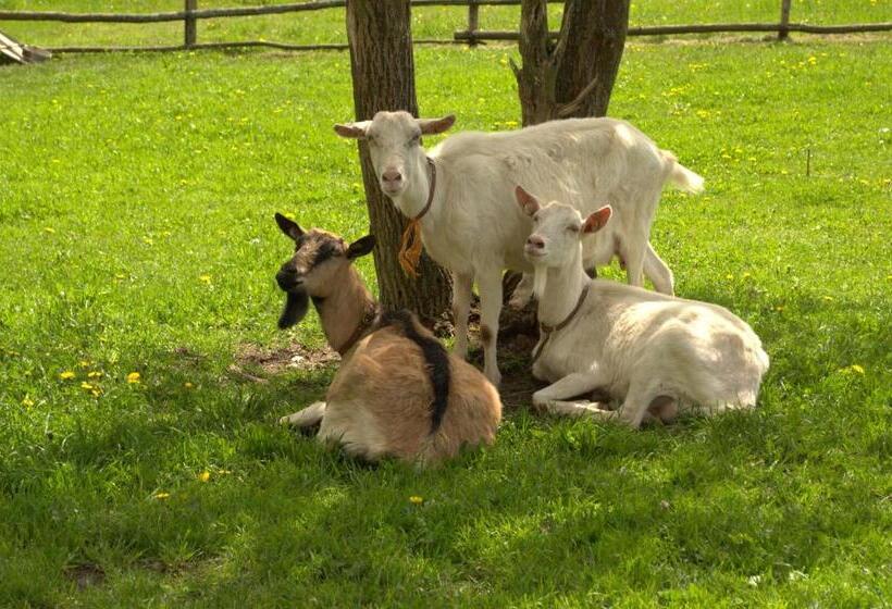 호텔 Penzion Dvůr Krasíkov