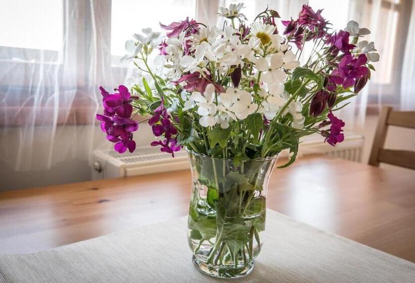 호텔 Penzion Dvůr Krasíkov