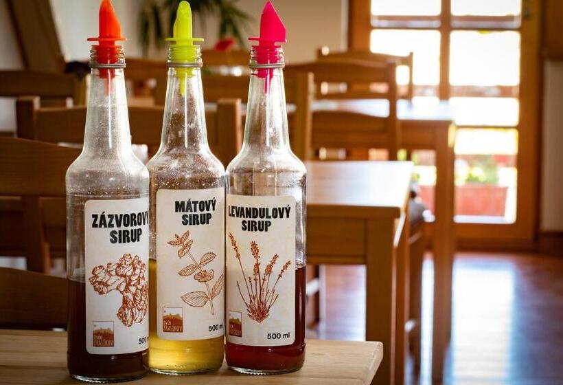 호텔 Penzion Dvůr Krasíkov