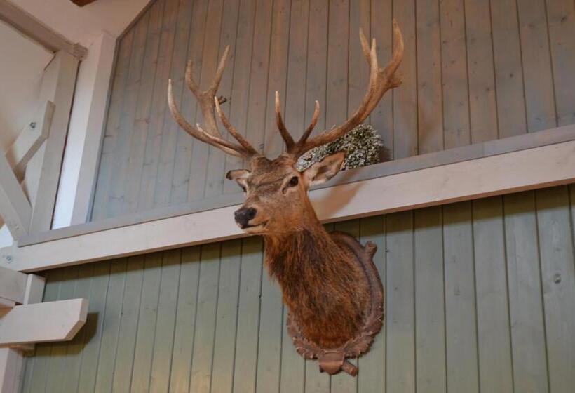 호텔 Penzion Dvůr Krasíkov