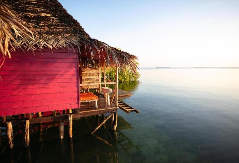 هتل Urraca Monkey Island Eco Resort