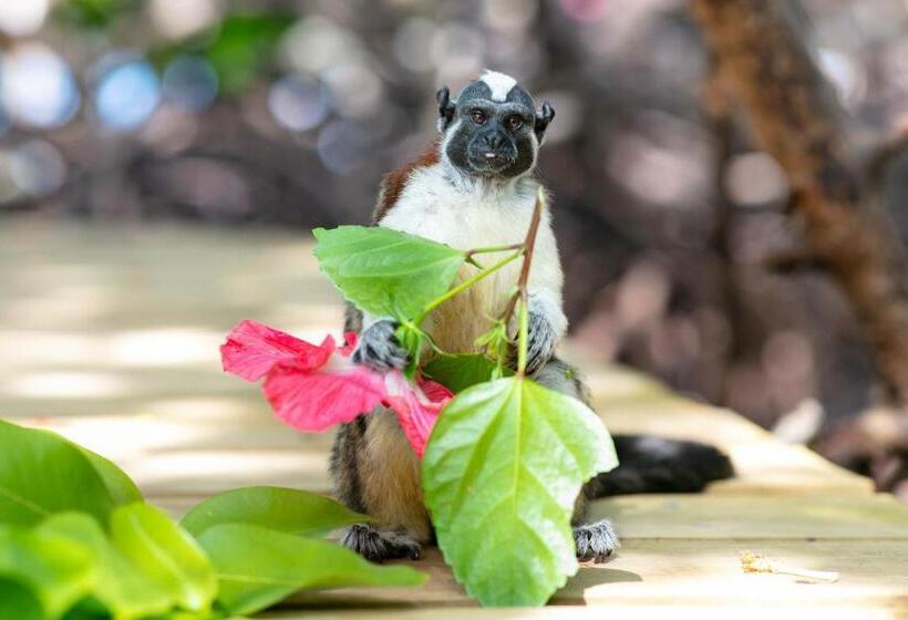 هتل Urraca Monkey Island Eco Resort