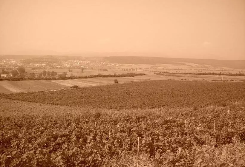 Majatalo Casa Domeniile Vinului