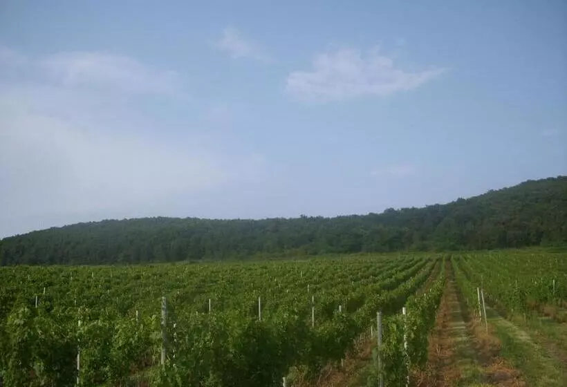 Majatalo Casa Domeniile Vinului