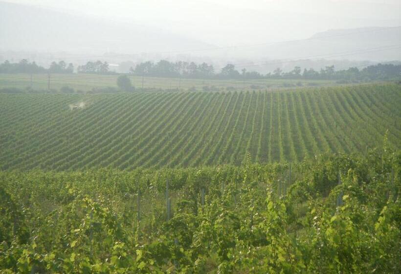 膳宿费 Casa Domeniile Vinului