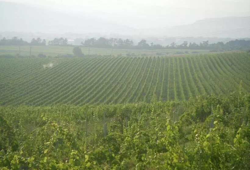 Majatalo Casa Domeniile Vinului