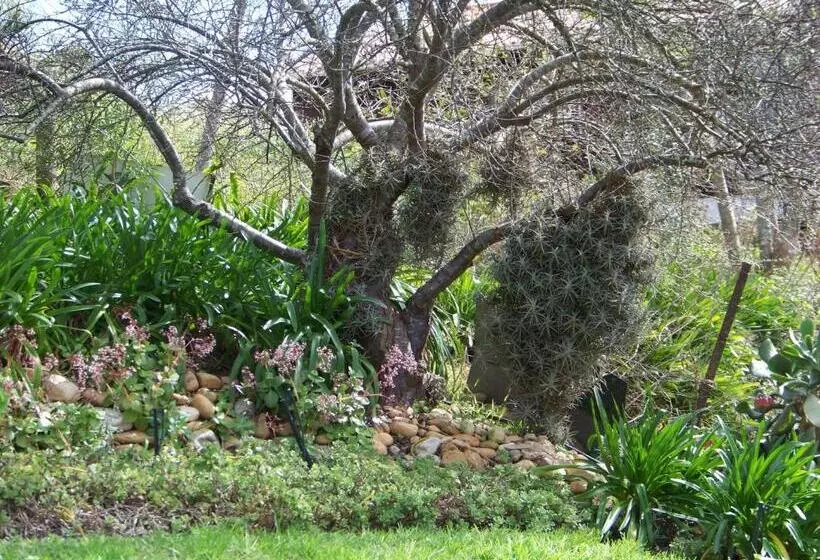 Majatalo Lemontree Cottage