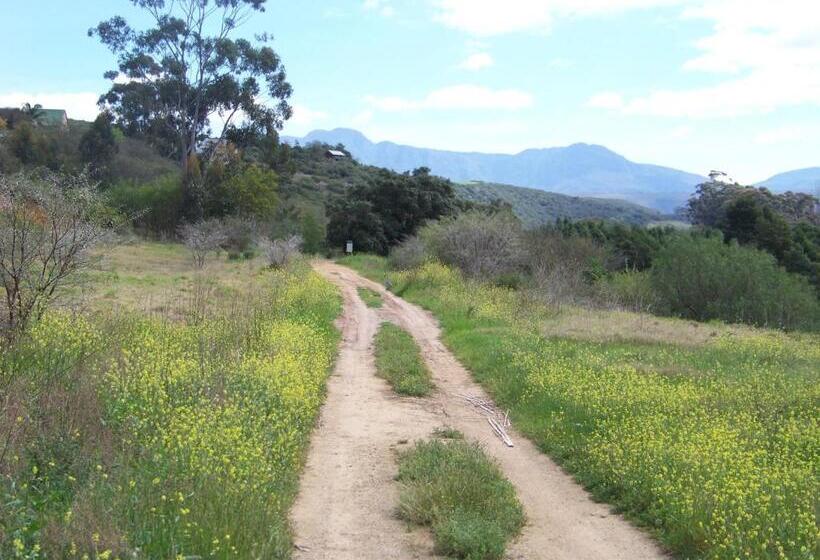 بنسيون Lemontree Cottage