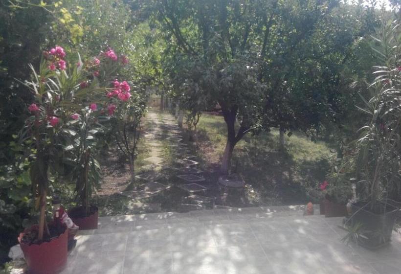 بنسيون Vila Mara