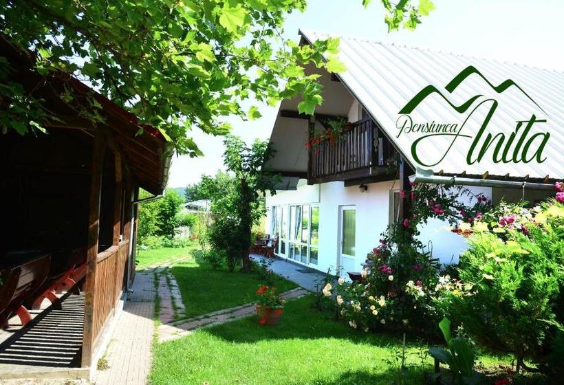 Pensiunea Anita