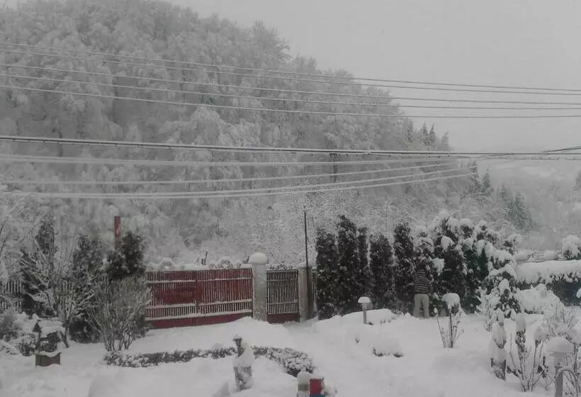 Pensiunea D O R U Arges