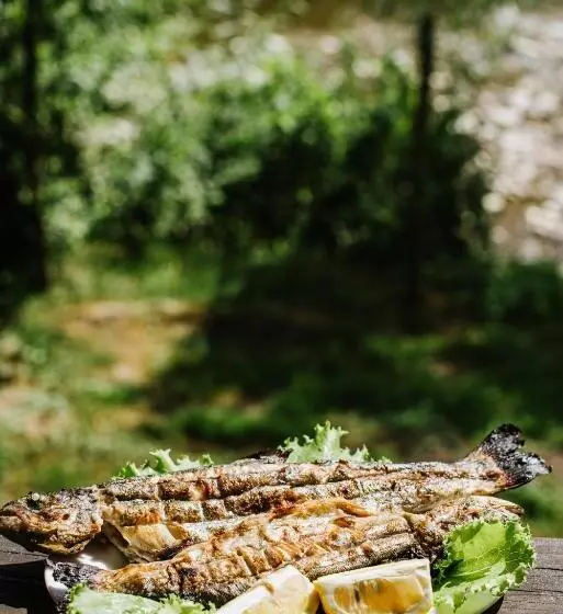 Retkeilymaja рибничанка