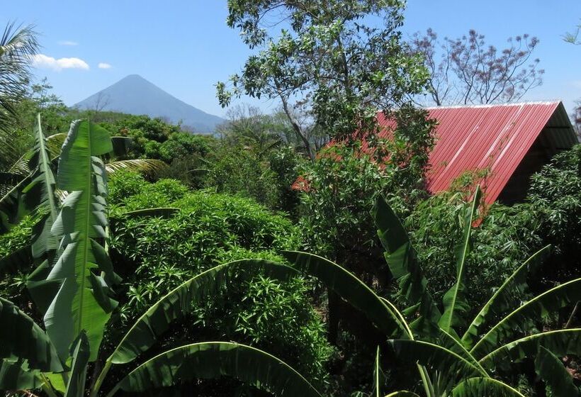 مبيت وإفطار Selvista Guesthouses