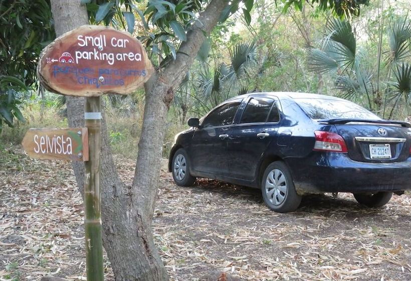 مبيت وإفطار Selvista Guesthouses