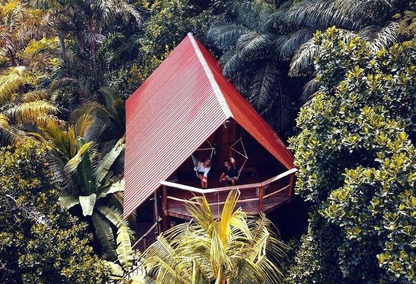 مبيت وإفطار Selvista Guesthouses