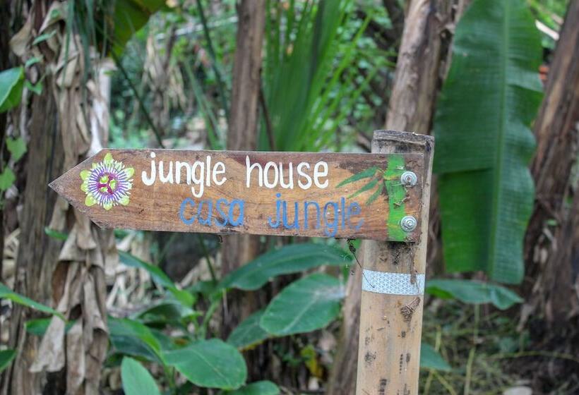 مبيت وإفطار Selvista Guesthouses