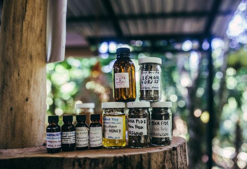 مبيت وإفطار Selvista Guesthouses