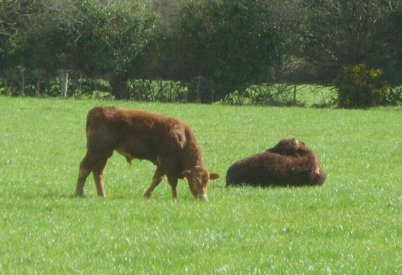 צימר The Glen Farmhouse