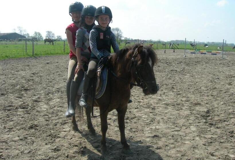 Отель Bladelijn