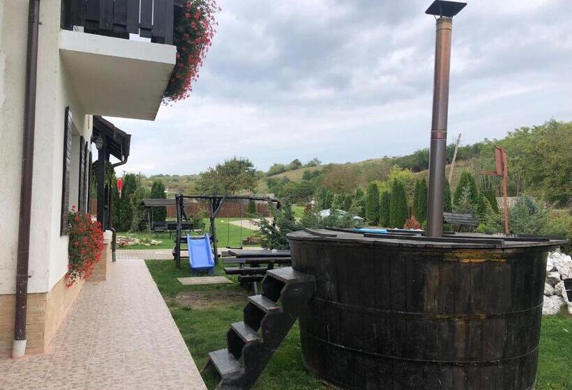 호텔 Oaza Apusenilor