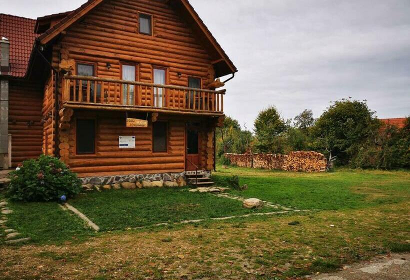 Отель Valea Vistisoarei