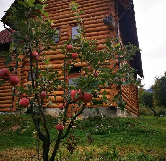 Отель Valea Vistisoarei