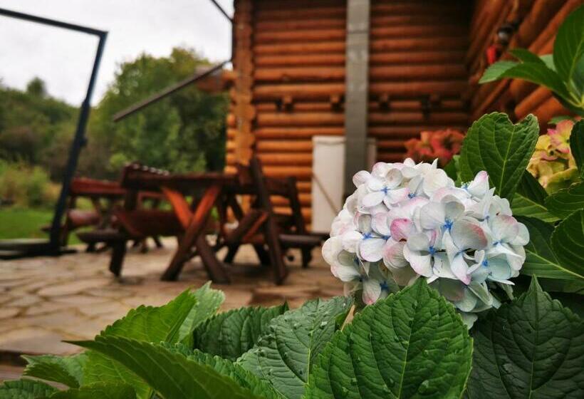 Отель Valea Vistisoarei