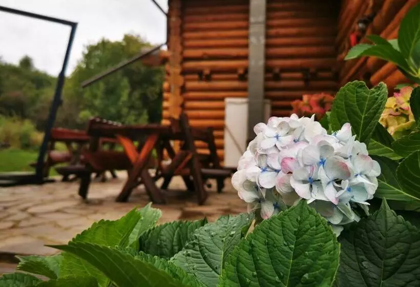 هتل Valea Vistisoarei