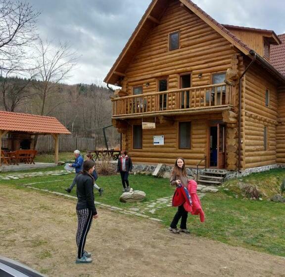 Отель Valea Vistisoarei