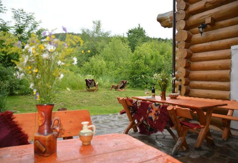 Отель Valea Vistisoarei