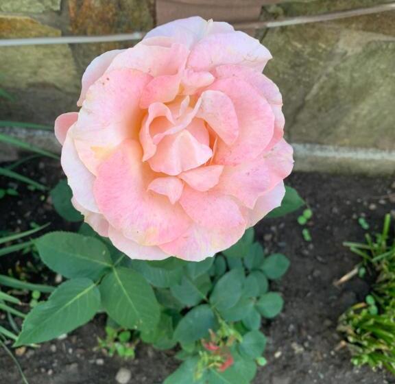 Pensão Alex & Maria