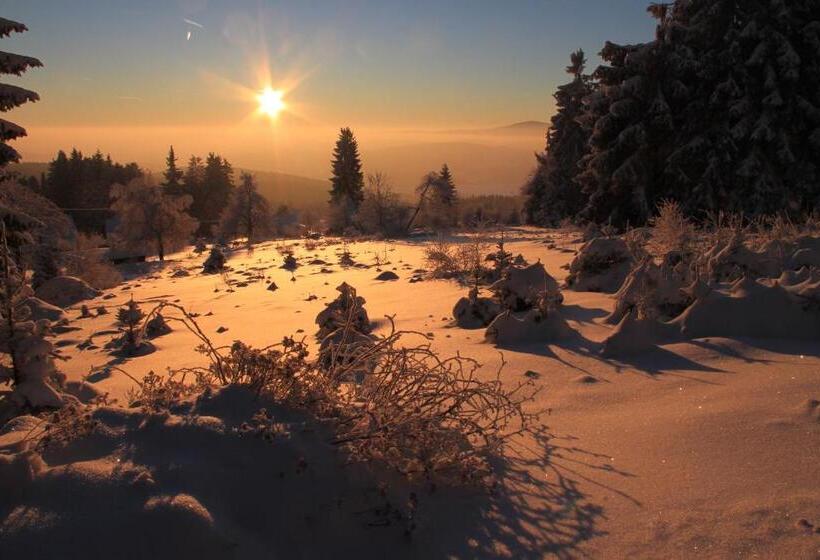 Пансион Chata Javorina