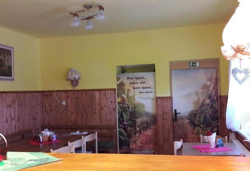 Пансион Chata Javorina