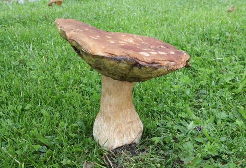 Пансион Chata Javorina