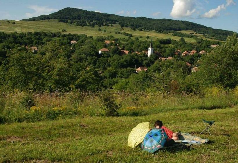 펜션 Firtos Vendégház