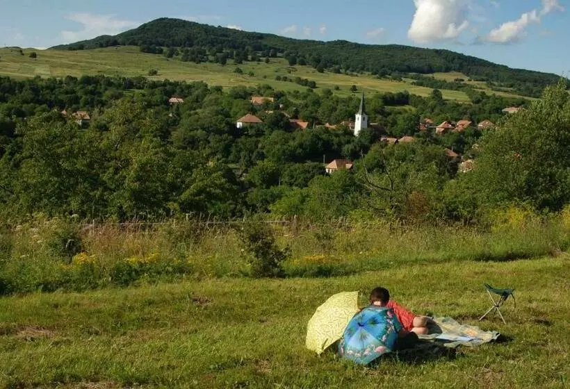پانسیون Firtos Vendégház