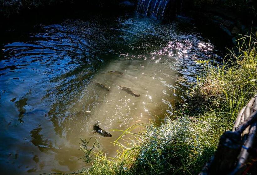 Пансион Glodeanca