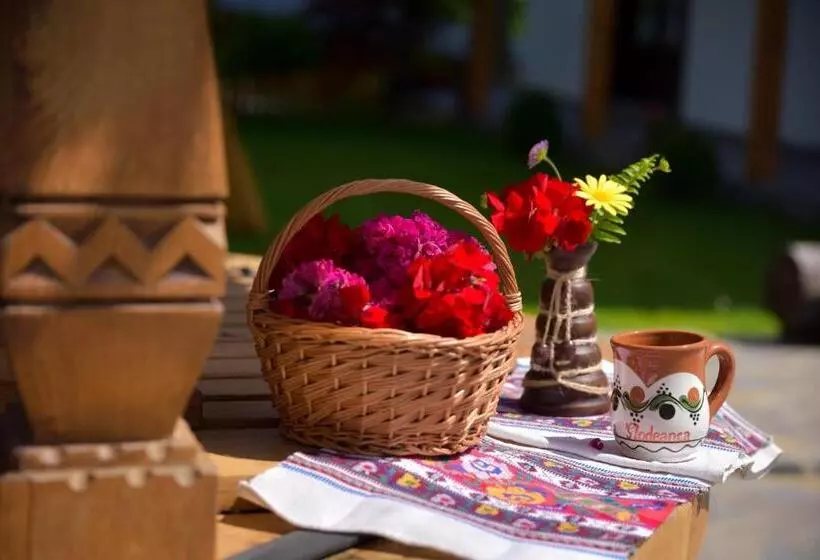 پانسیون Glodeanca