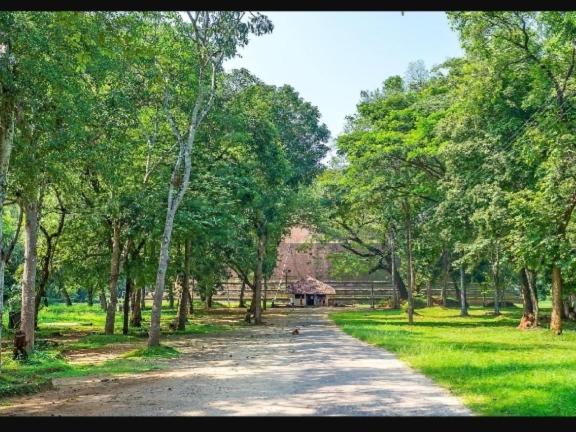 Pension Hansika Guest Inn