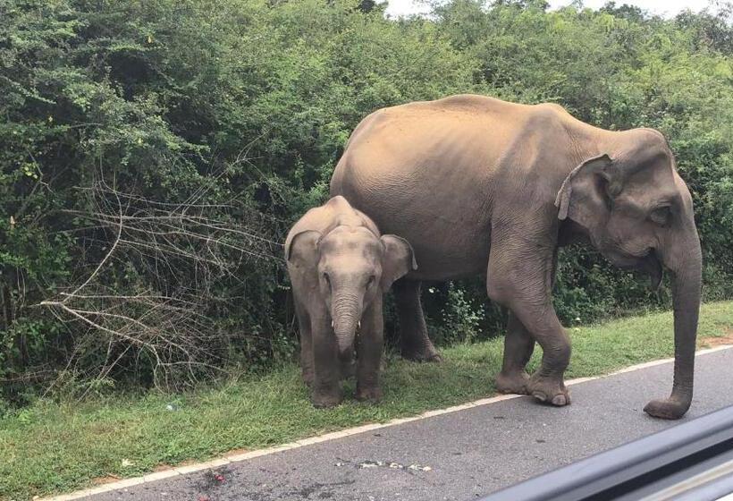 Pension Hansika Guest Inn