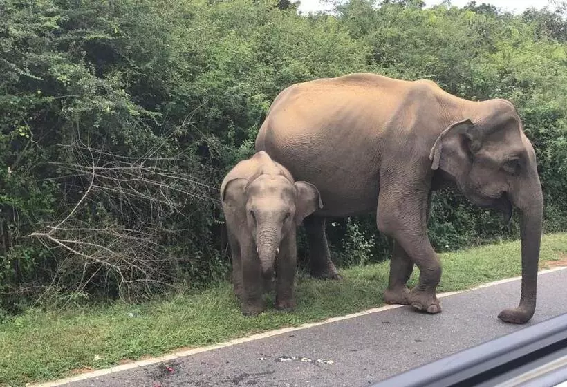 ペンション Hansika Guest Inn