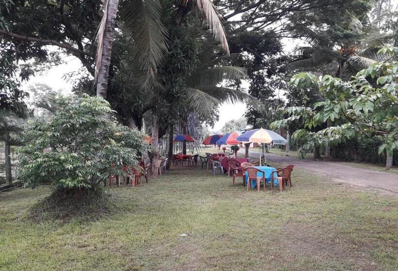 Pension Hansika Guest Inn