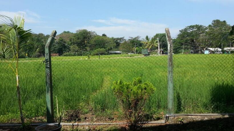 Pension Hansika Guest Inn