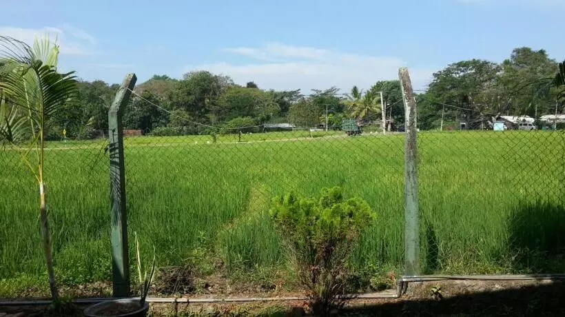 ペンション Hansika Guest Inn